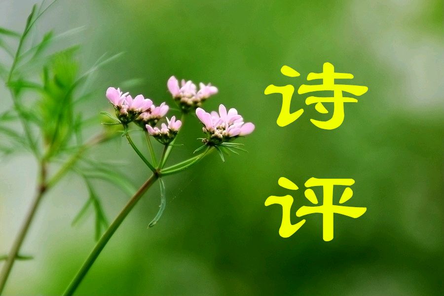 【茌山诗评】山东湘潭‖在烟火中见诗意 在沉静中悟人生