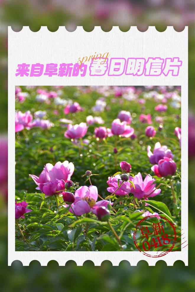 七绝-感吟～诗||王政（图9）