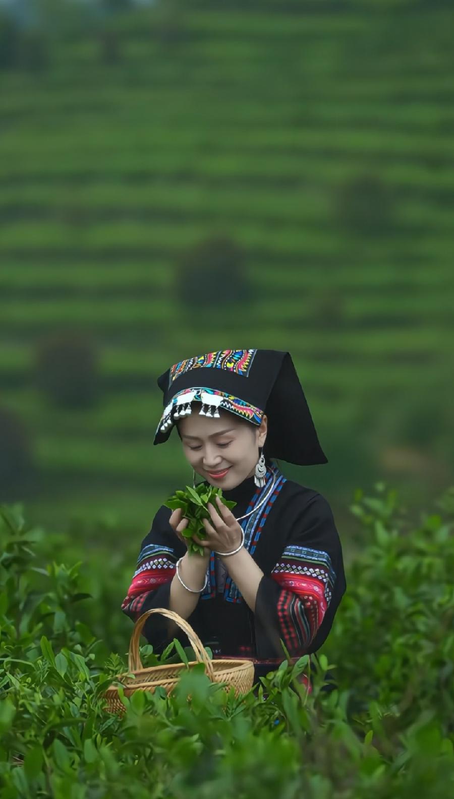 排律-绘春～诗||杨景儒（图13）