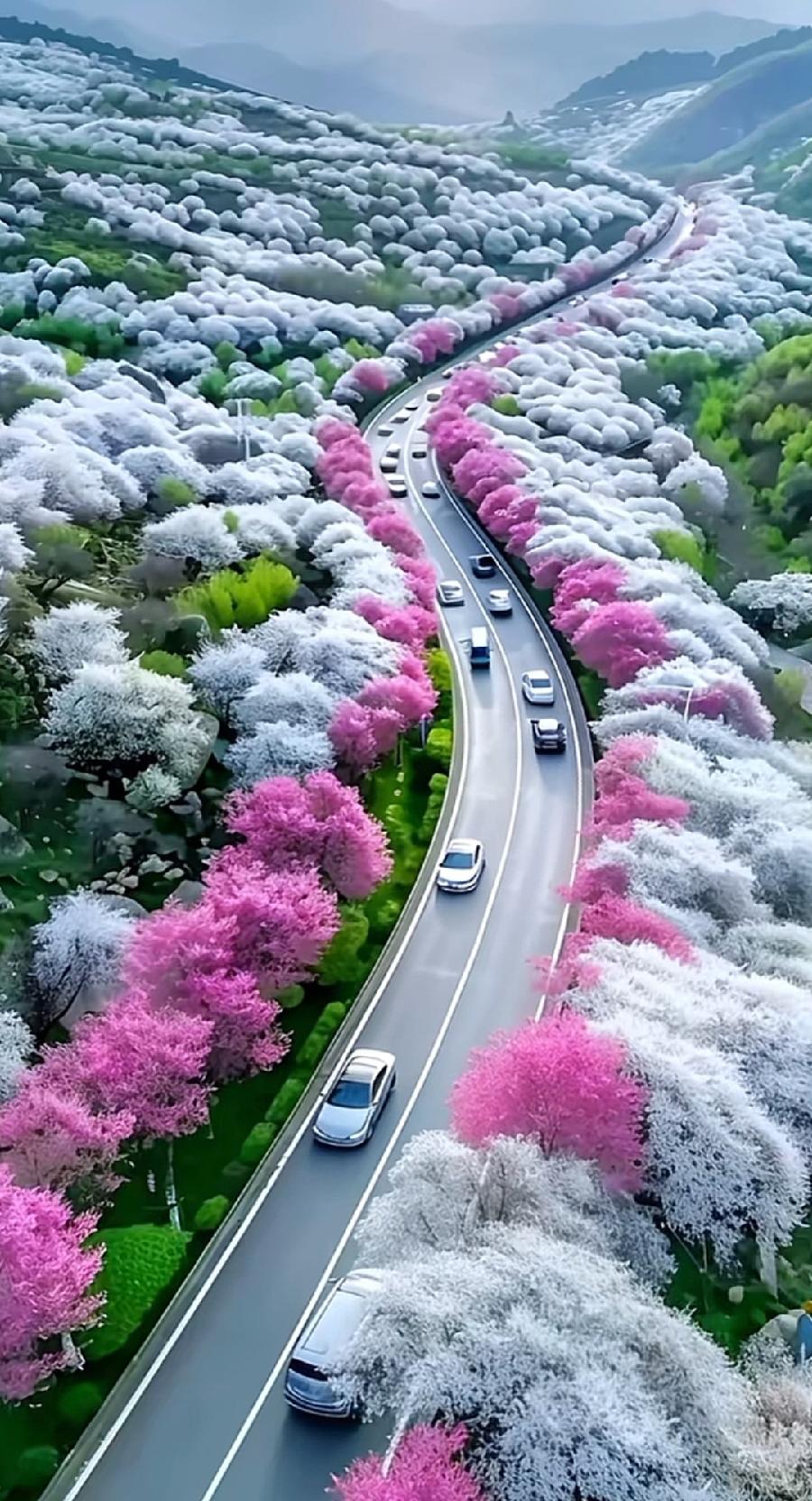 排律-绘春～诗||杨景儒（图14）