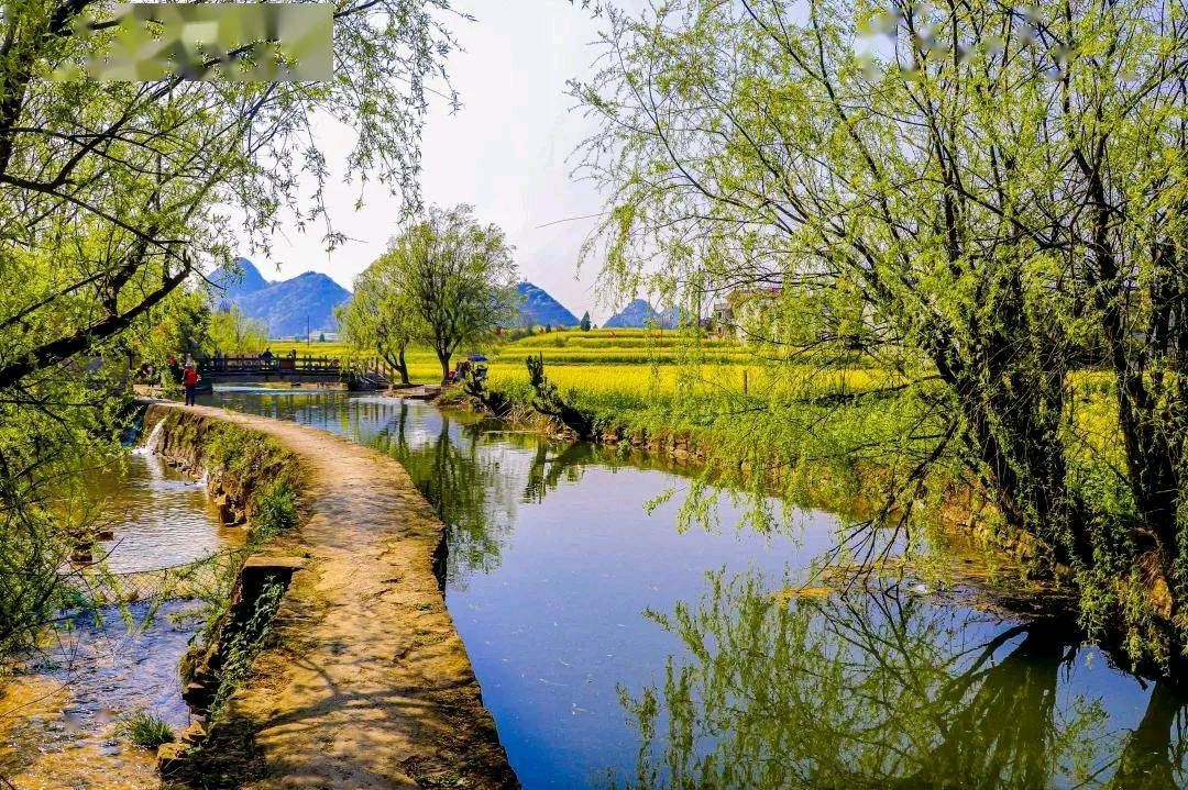 【荣耀中国】七绝.林芳鸟语聊春趣文刀士心(图4)