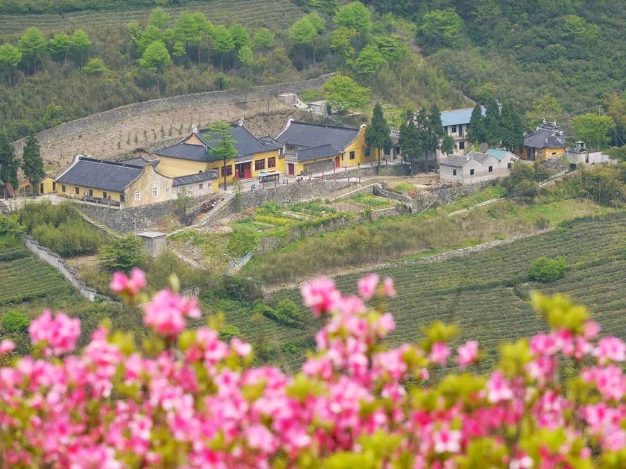 【国学雅韵社】七律•春花刘成林（内蒙古）（图5）