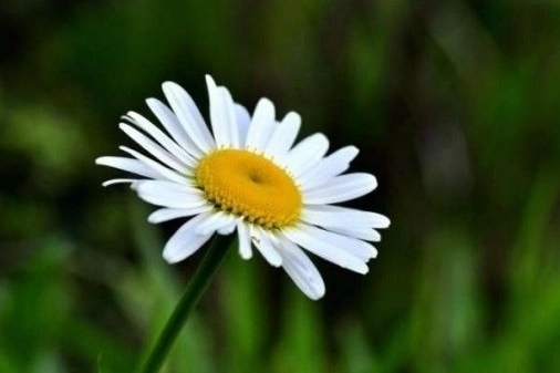 人生的至暗时刻——抢救母亲的四十三小时~文||张连和(图10)