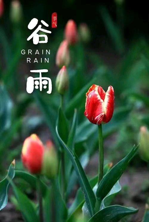 【国学雅韵社】综合刊第15期(图7)
