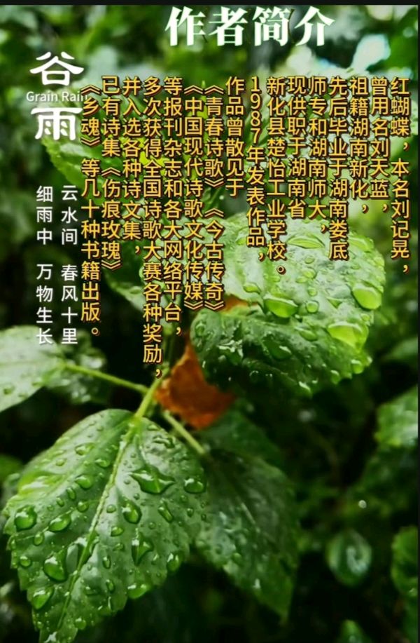 《现代诗人新作'想念'》作者:红蝴蝶。配乐:诗配《画面音乐》。[中国现代诗歌文化传媒]（图18）