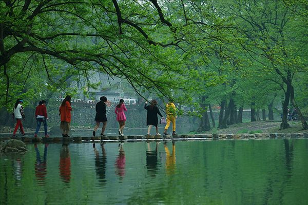 【荣耀中国】中英文外语诗《盲区》作者：王佐臣（图4）