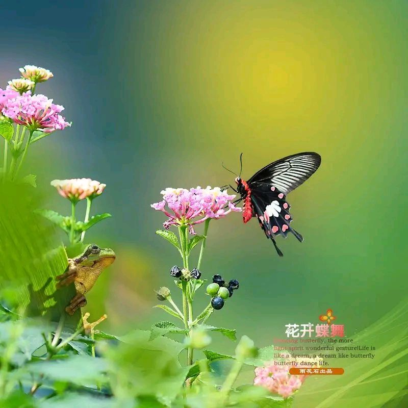 请欣赏乡音老师的作品《春恋》主播/叶子 编辑/海纳百川【中国长江文学社】有声文学平台【第8535期】（图3）