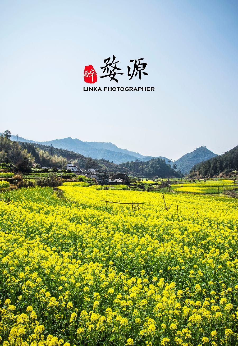 虞美人-婺源(组合)词||李振林(图9)