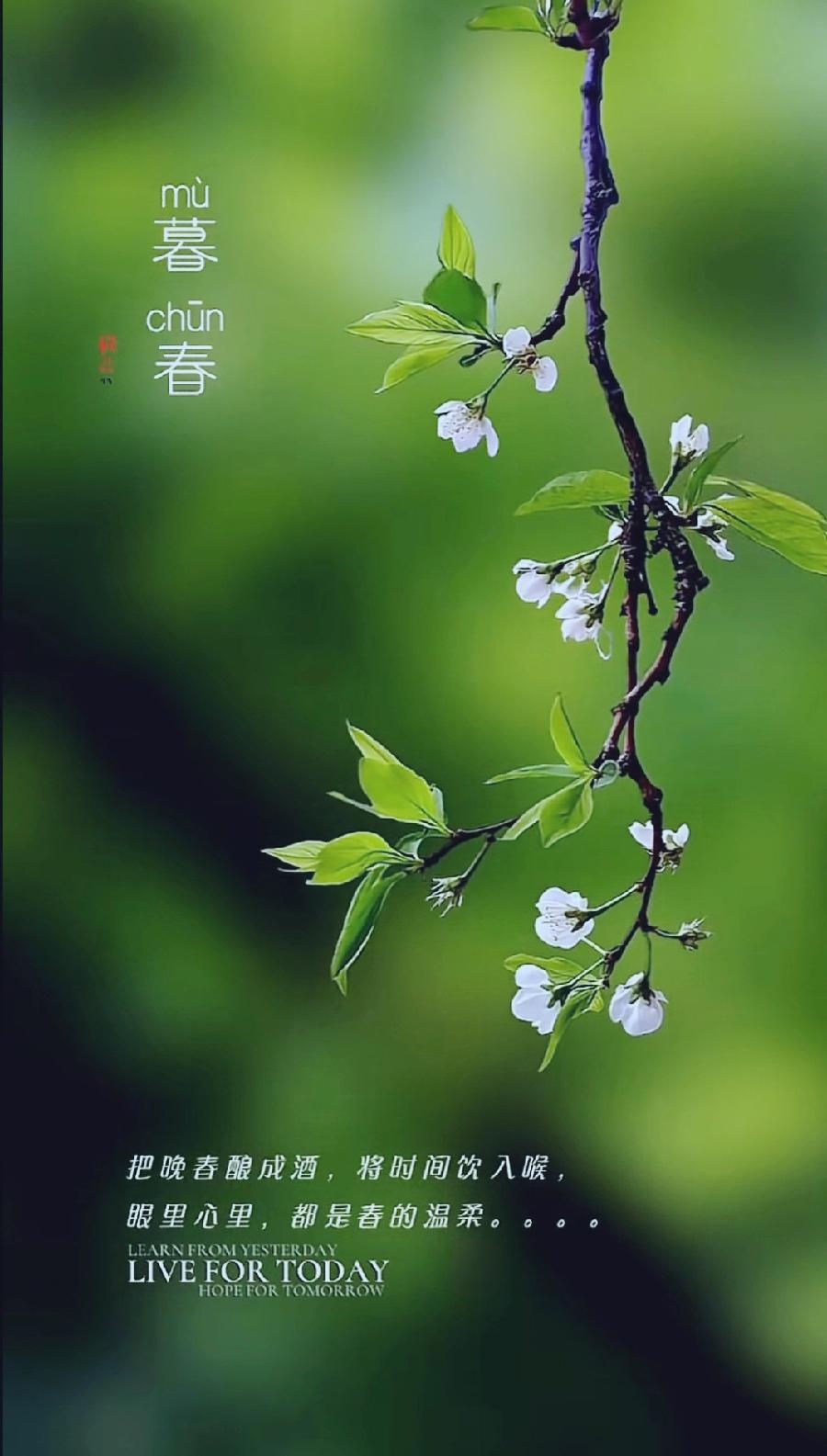 虞美人-婺源(组合)词||李振林(图16)