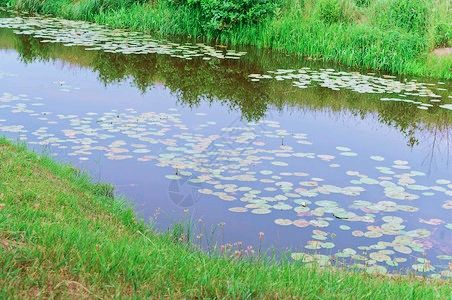《许峰诗歌研究院》《名家名篇》小池犹记（三首）文/余斯文（图2）