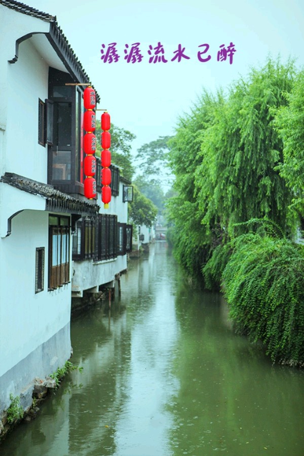李德江老师的诗歌《姑苏的雨》主播：月娥；编辑：香乡【书香雅韵】（第73期）（图5）