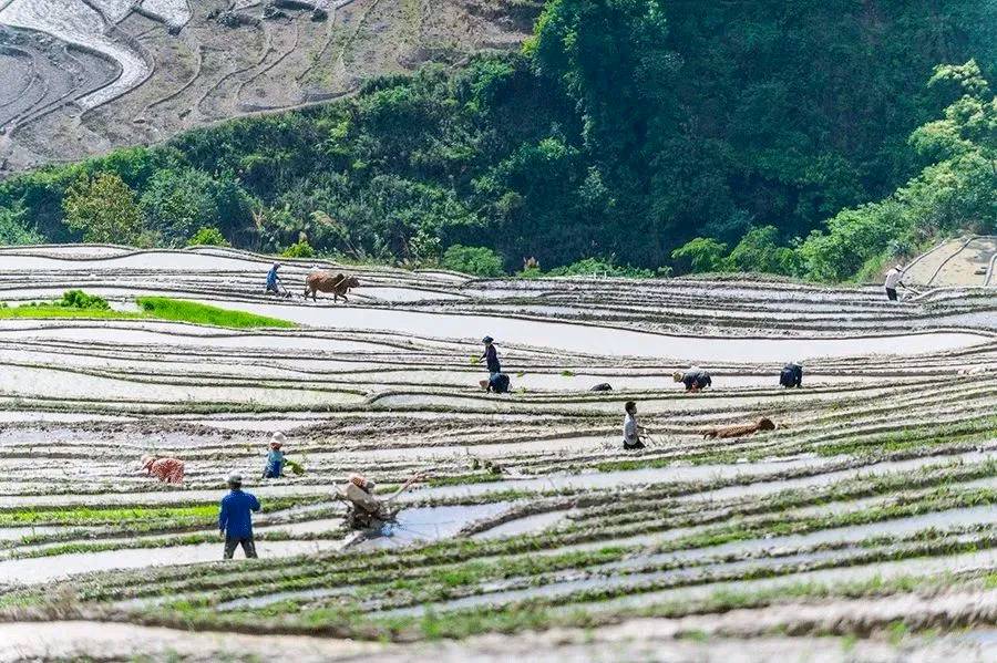 国风河北社2024第三期诗词选粹—北京头条(图15)