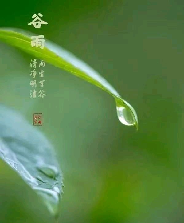诗两首《谷雨》《牡丹咏》 | 许保全
