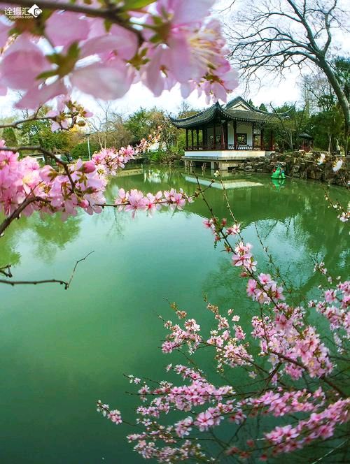 七律.踏春 作者/卓顺贵（图2）