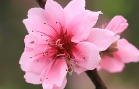 《九江文学社：北京头条》优秀诗人张维清先生诗歌欣赏（图3）
