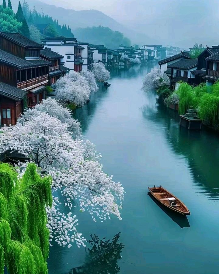 联机全球发布《吴华龙精彩晨语》欣赏（图20）