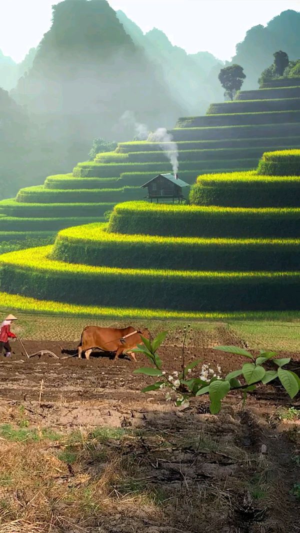 七律.踏春 作者/卓顺贵（图5）