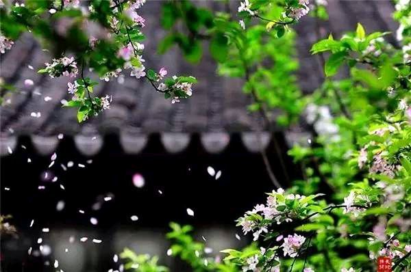 石家庄市藁城区诗词协会四十三期同题诗《暮春》（图4）