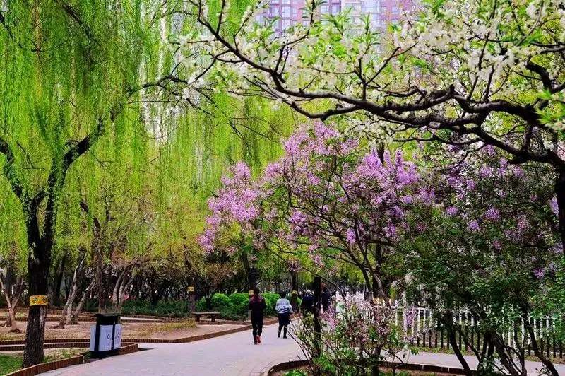 石家庄市藁城区诗词协会四十三期同题诗《暮春》（图10）