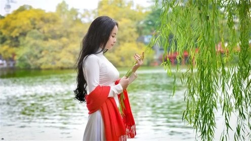 垂柳咏（外一首）诗||孙丙辉（图12）