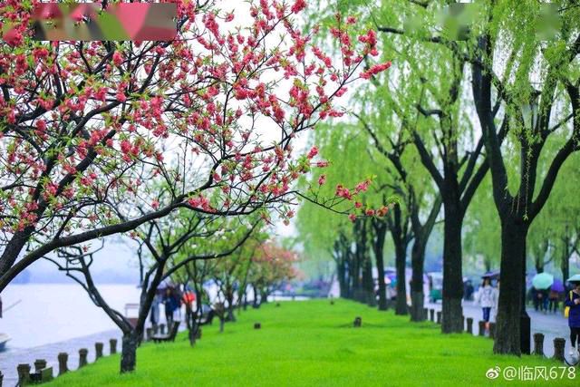 燕归梁*春日放歌金夜（兰州）（图3）