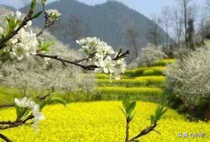 《思春》作者:龙游天下。朗读者:平安幸福(金英子)。[中国现代诗歌文化传媒]（图12）