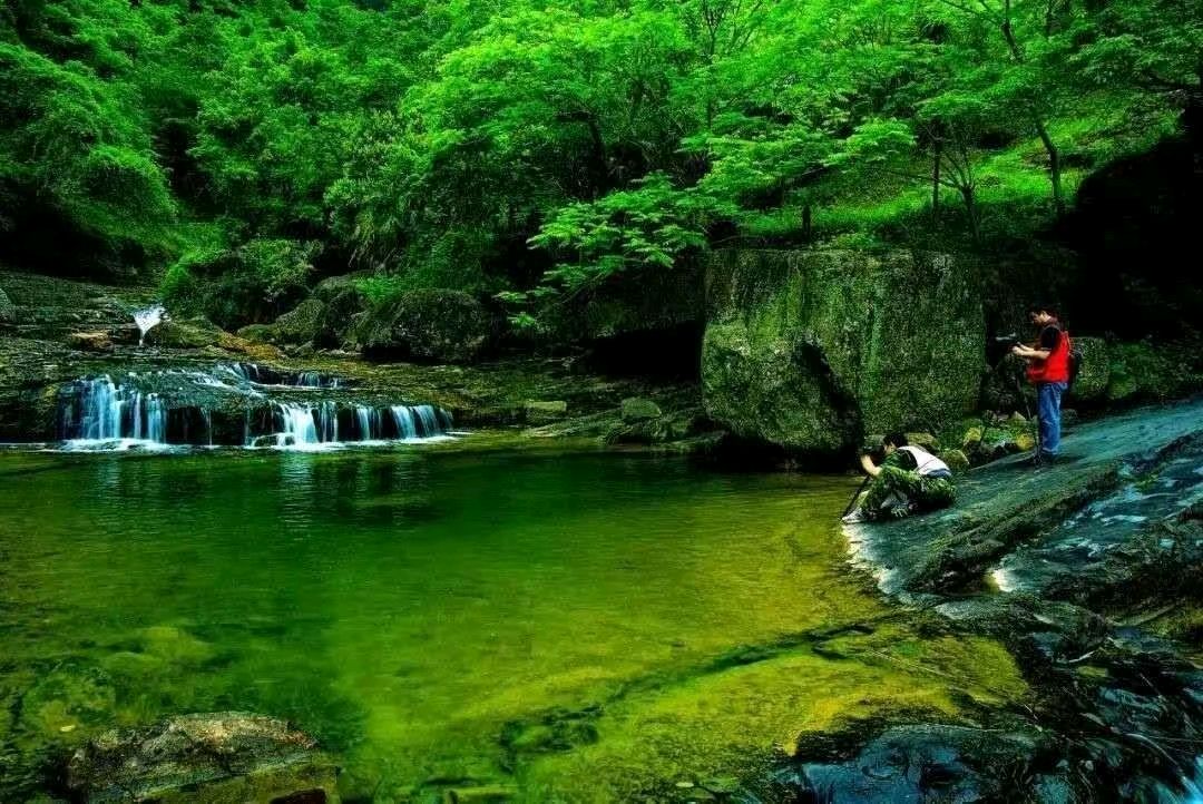 《思春》作者:龙游天下。朗读者:平安幸福(金英子)。[中国现代诗歌文化传媒]（图23）