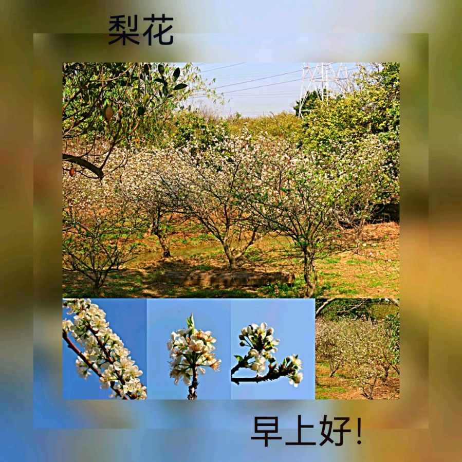 联机全球发布马洪武作品欣赏（图99）