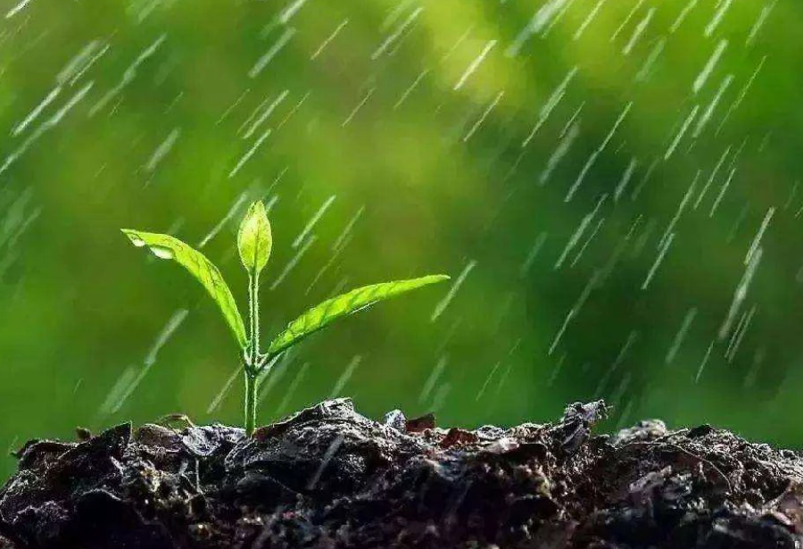 春夜喜雨 文/北极星