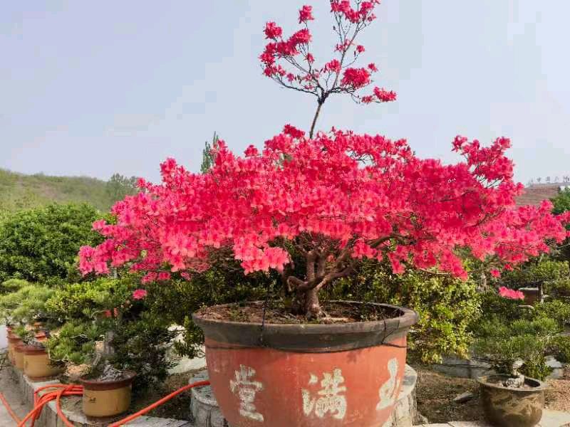 世界读书日思吟(外一首)/王福中(图7)