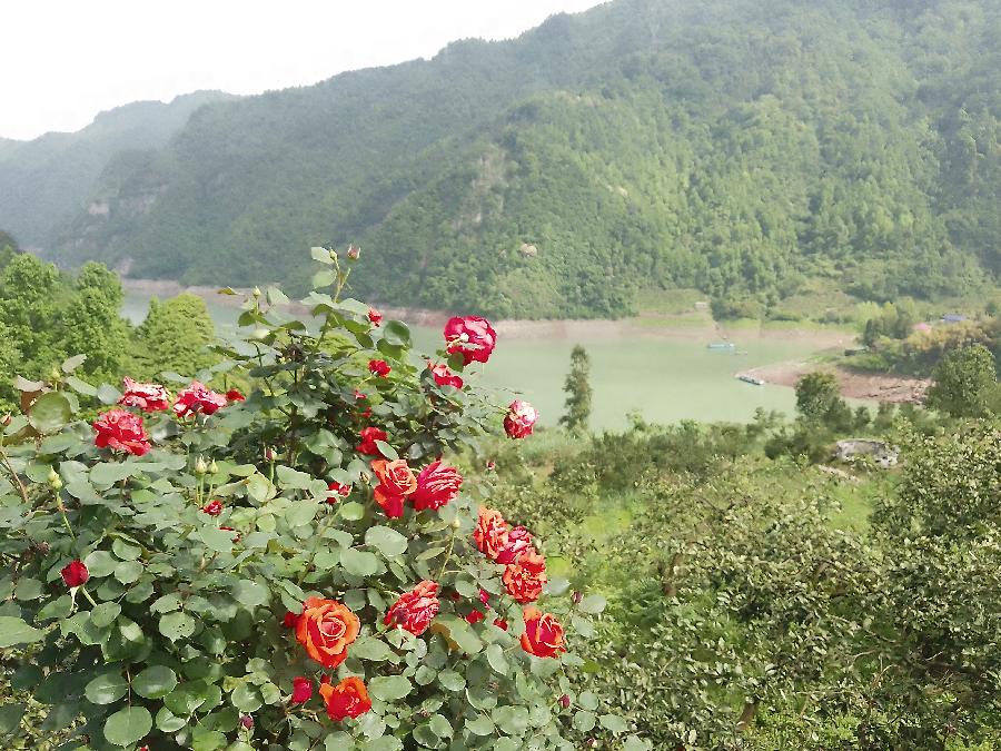 春游感吟～诗||裴锡光（图13）