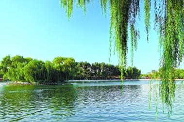 东方书剑的《踏莎行 游下龙湾》
