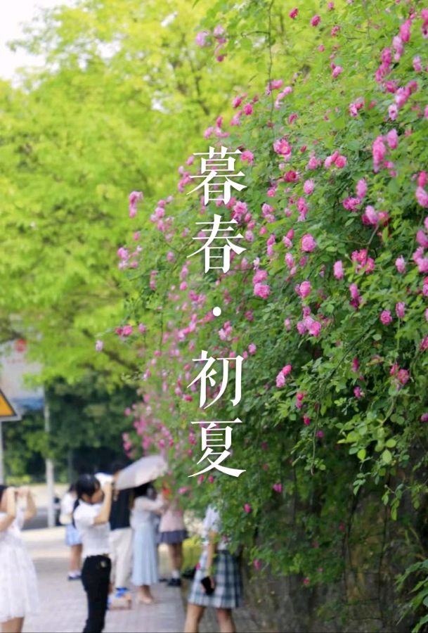 韩庚的《暮春 初夏》