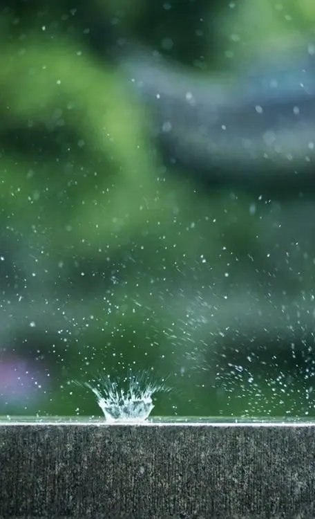 七绝-春雨～诗||王政（图13）