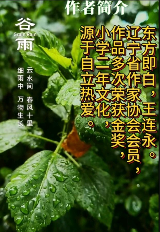 《弹奏爱的交响》作者:东方即白。配乐:东北方言解说《画面音乐》。[中国现代诗歌文化传媒]（图8）