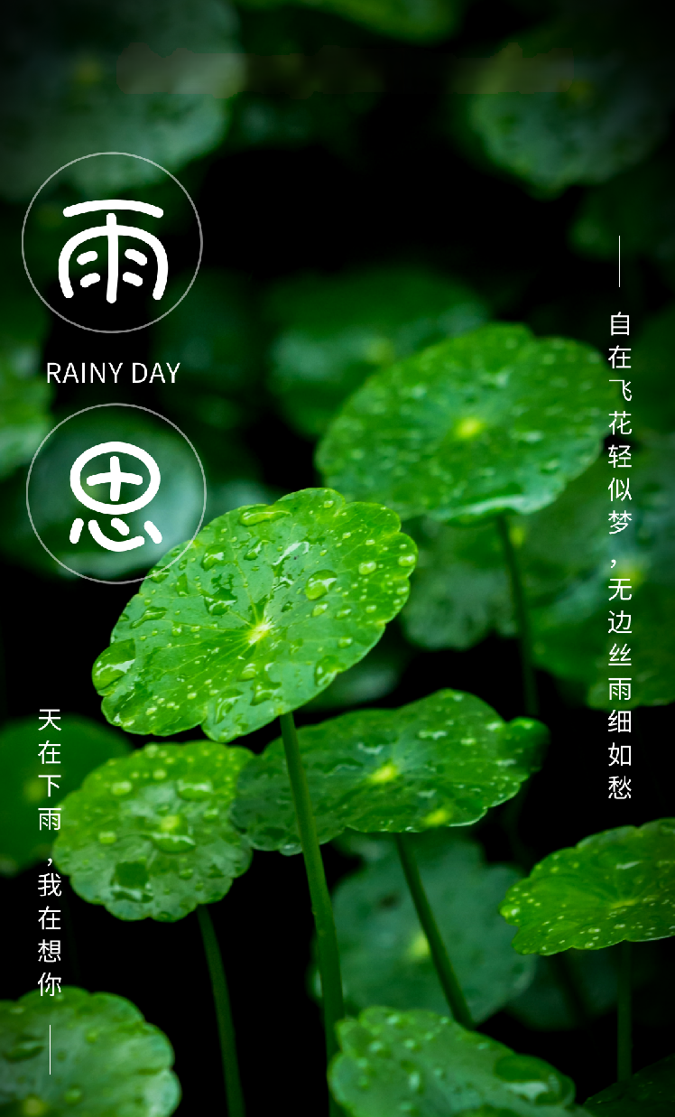 七绝-雨思～诗||王政（图8）