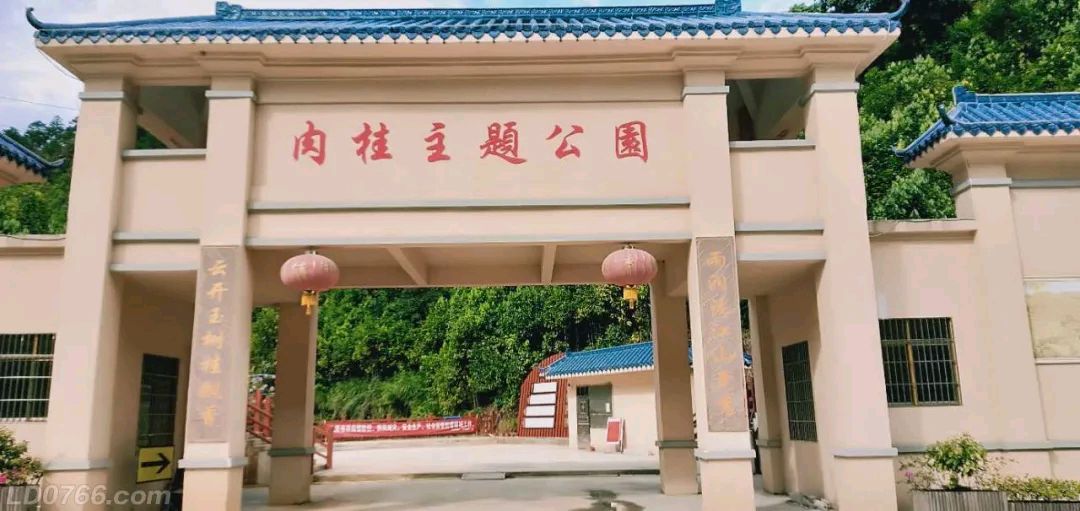 七律.肉桂之乡美名扬 作者/卓顺贵(图14)