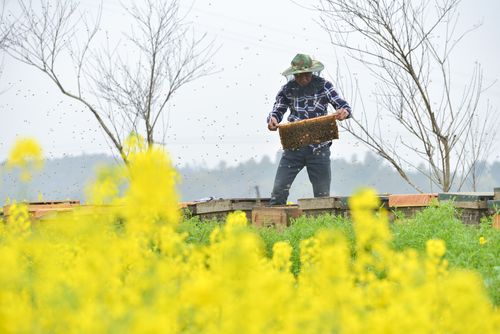 镇 长‖文 /王宇鹏（图8）