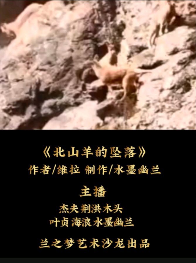 【原创作品】《北山羊的坠落》作者 维拉 制作 水墨幽兰 主播 杰夫 荆洪 木头 叶贞 海浪 水墨幽兰（图2）