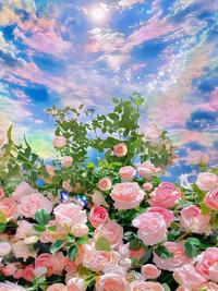 【小芹朗诵厅】山高水长万田野 作者/泉水 主播/赵淑芹（图5）