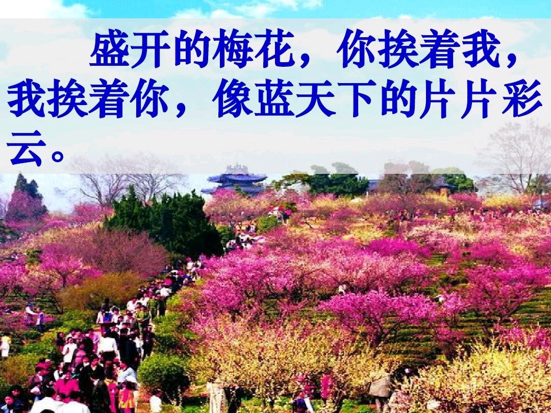 《爱你的理由》作者:龙游天下。诵读:于凤霞。[中国现代诗歌文化传媒]（图6）