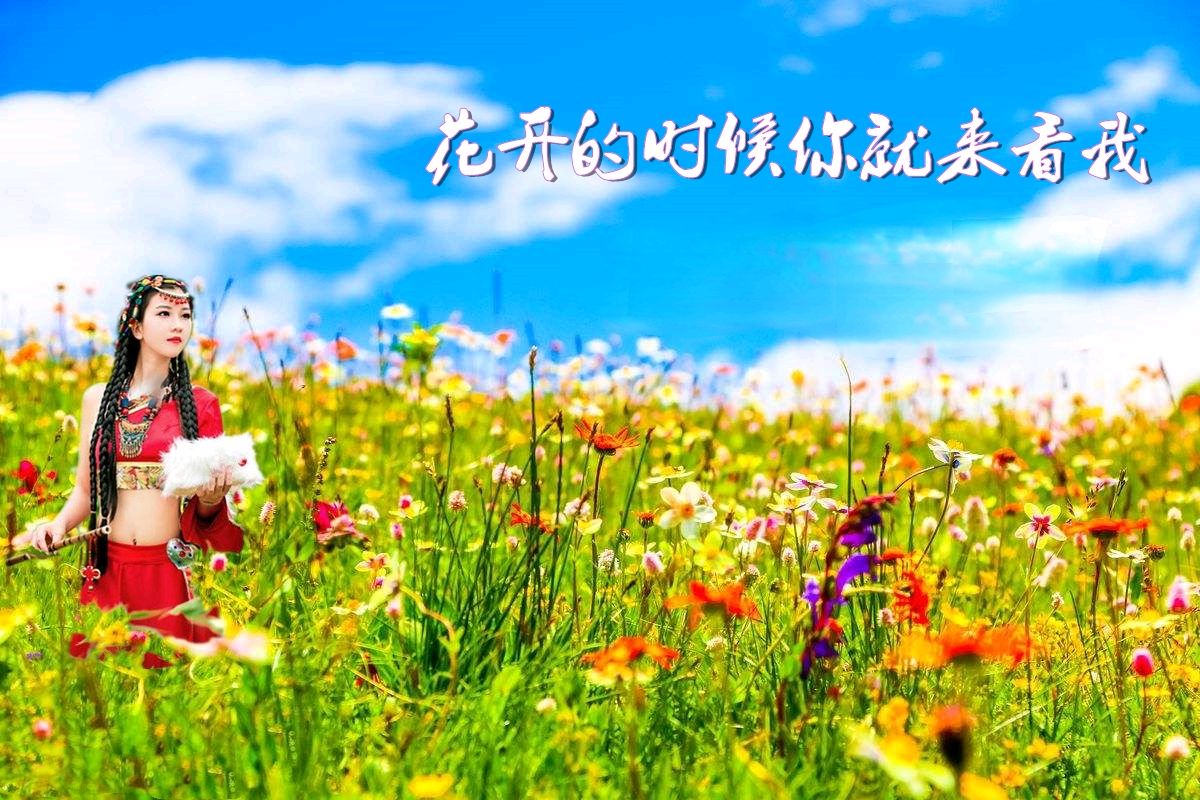 《爱你的理由》作者:龙游天下。诵读:于凤霞。[中国现代诗歌文化传媒]（图17）