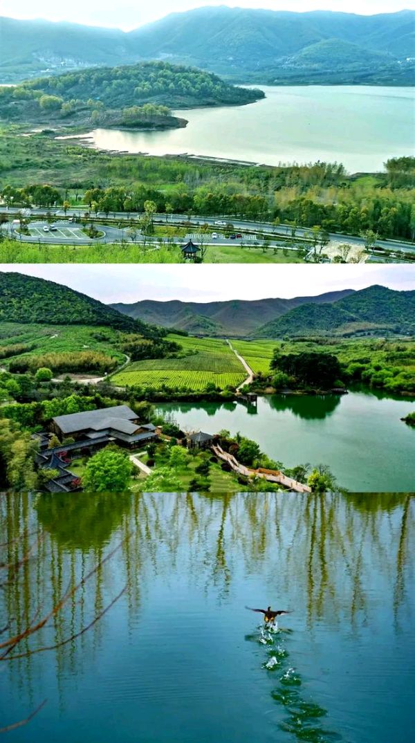 【荣耀中国】——周刊第68期(图5)