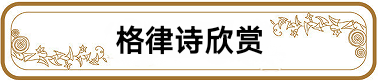 中华诗艺社黑龙江分社推荐/杨玉才文学作品欣赏(图4)