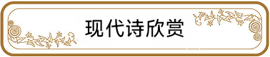 中华诗艺社黑龙江分社推荐/杨玉才文学作品欣赏(图3)