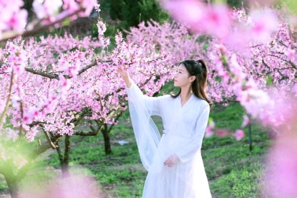 《九江文学社：有声文学平台》《初夏的雨点花缘》文/梦在远方 朗诵/诗婧（图5）