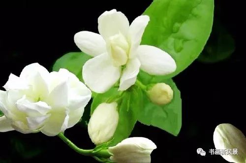 荐赏：挖野菜//文／洪年松（河南）//《炎黄诗歌》征稿//都市头条（图4）