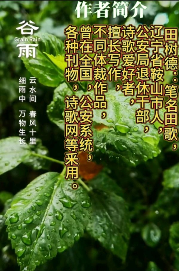 《山梨花》作者:田歌。配乐:东北方言诗解说《画面音乐》。[中国现代诗歌文化传媒]（图15）