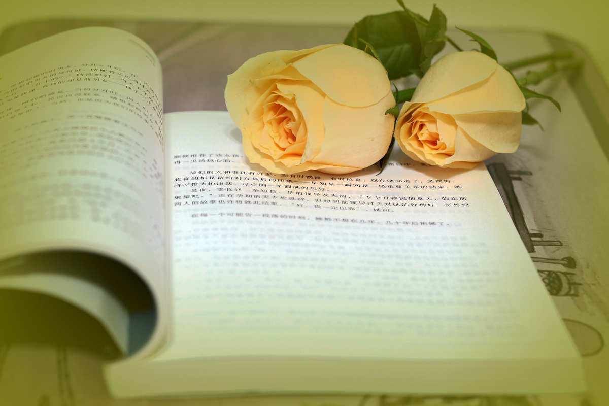 【新诗大观】书香家才美||文/赵杏芬/沈五群(图5)