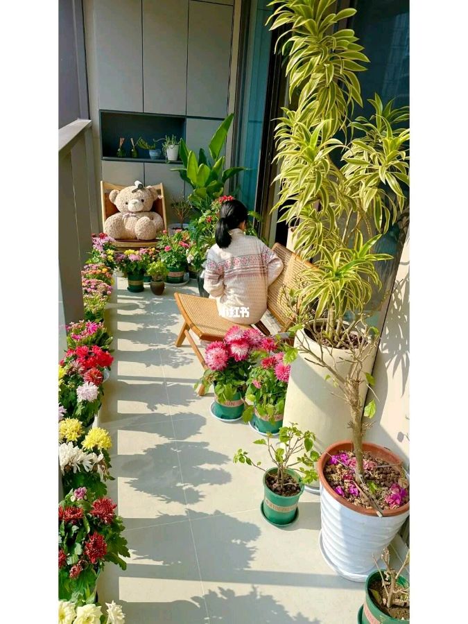 【新山东文学社】《梦想.家》作者/云逍遥 主播/鲁怡秀凤（图4）
